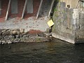 Tilton NH Rail Trail 2010 0075